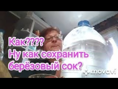Берёзовый сок, как его сохранить #березовыйсок#жизньвбеловежскойпуще#кухонныедела