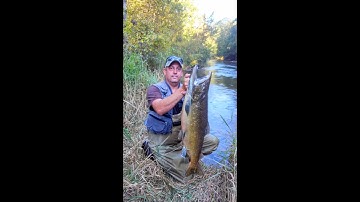 HOW TO MAKE SPINNERS FOR TROUT/ SALMON 101