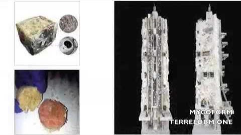 Mycoform Surface | Multi-Curved Biomaterial
