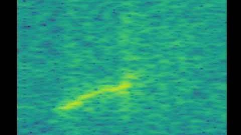Synthetic sample of a North Atlantic right whale upcall