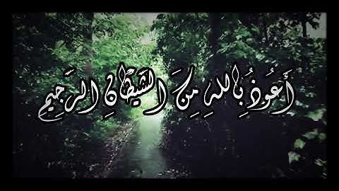 هُوَ الَّذِي يُرِيكُمْ آيَاتِهِ وَيُنَزِّلُ لَكُمْ مِنَ السَّمَاءِ 💚| القارئ: مصطفى خضر.
