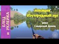 Русская рыбалка 4 - река Северский Донец - Елец и уклейка у храма