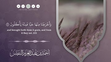ما تيسر من سورة يس || القارئ أحمد النفيس