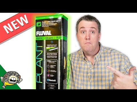 MY NEW FAVORITE LIGHT! Fluval Plant Spectrum 3.0 LED Light Review