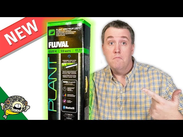 MY NEW LIGHT! Fluval Plant Spectrum 3.0 LED Light Review - YouTube