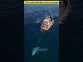 A Miracle in the Middle of the Ocean😱#SurvivalStory #SharkAttack #Miracle #AmazingFacts #ShortsIndia