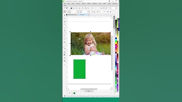 How to use Crop Tool in CorelDraw (Part12)