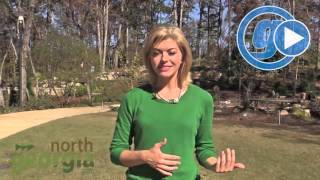 Go: to the Atlanta Botanical Garden in Gainesville, Ga