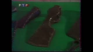 Вокруг света (РТР, 25.03.2001) Булгар