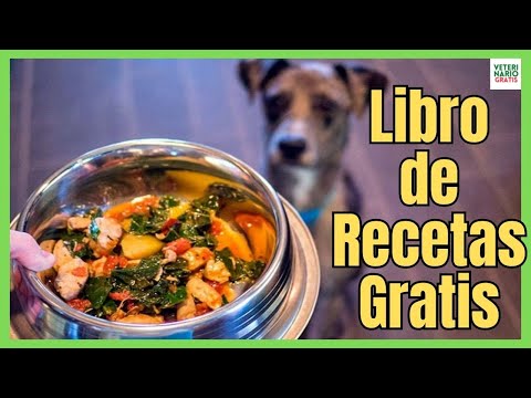 Video: Cómo hacer una dieta natural para perros en casa