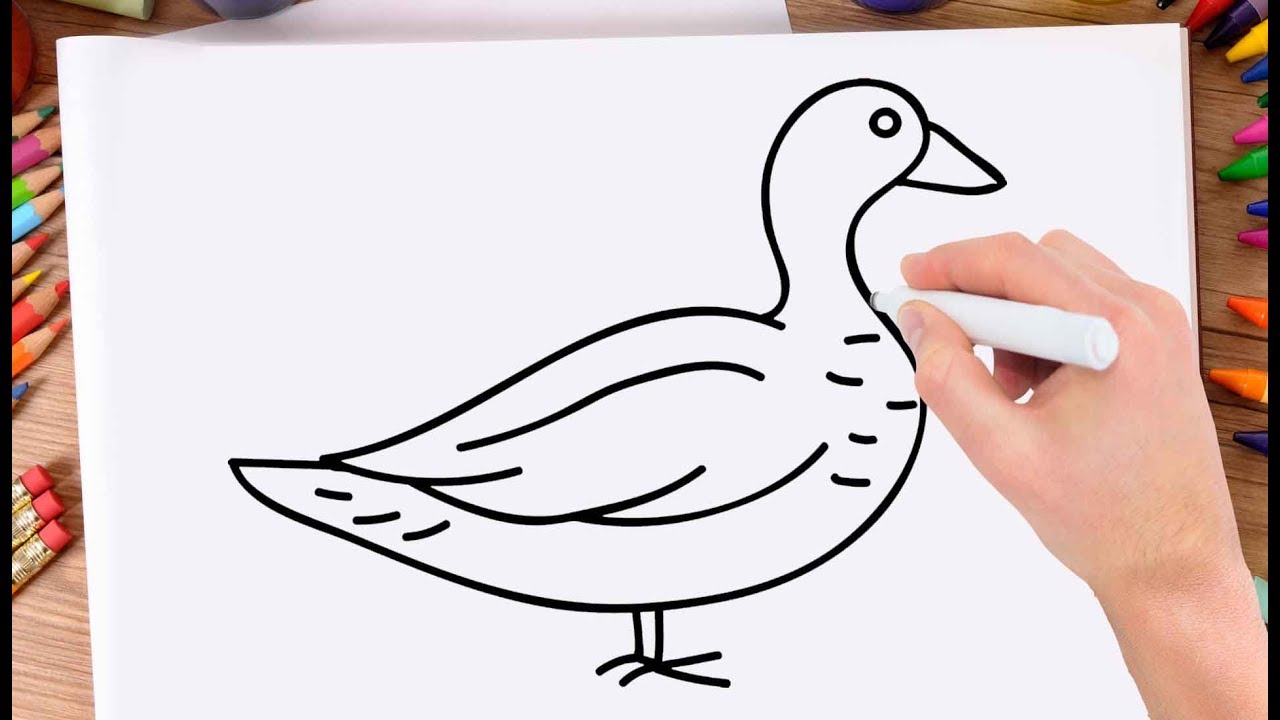 22+ Sketch Of A Duck : Free Coloring Pages