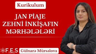 KURİKULUM | JAN PİAJE | ZEHNİ İNKİŞAFIN MƏRHƏLƏLƏRİ | GÜLNARƏ MÜRSƏLOVA | FES TƏDRİS MƏRKƏZİ