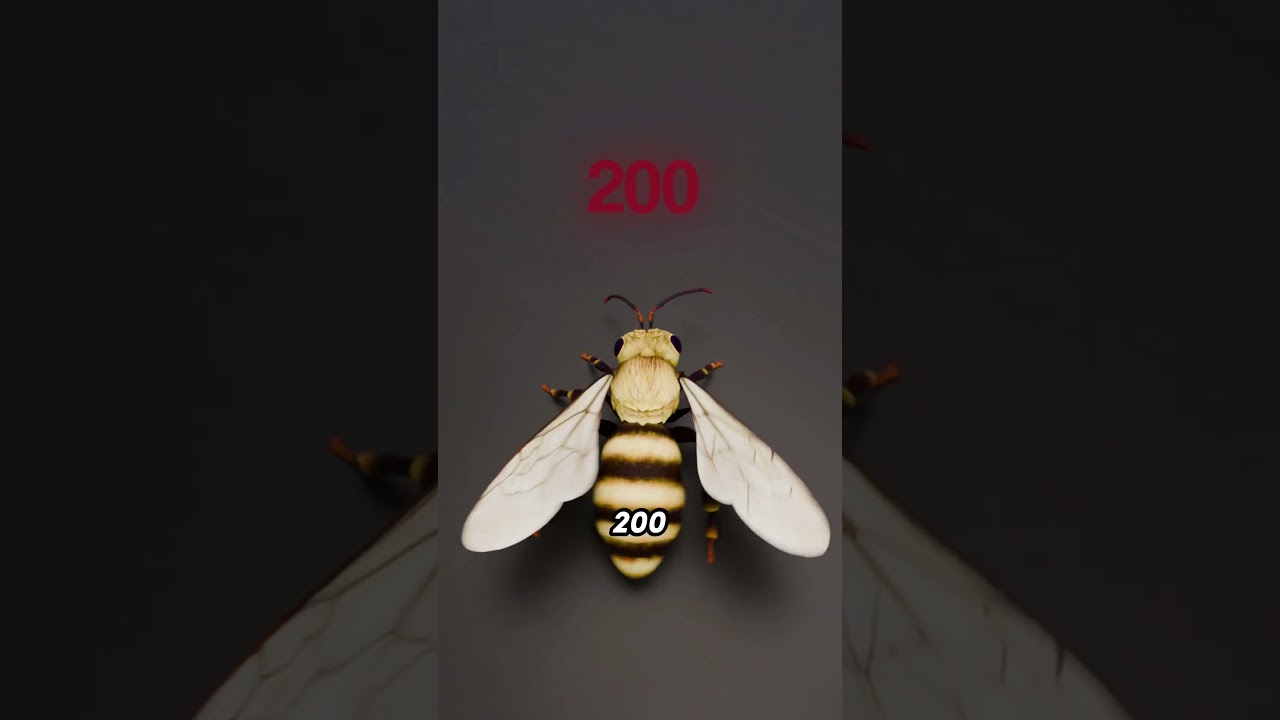 Did You Know If a Bee Can Dodge a Bullet? 🐝💨🔫 #sciencefacts #zeusbfilms #explainer #bee