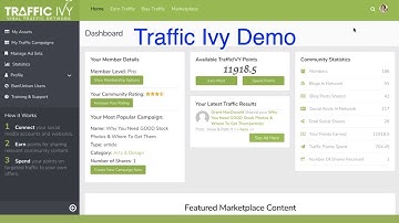 Traffic Ivy Demo - You will Get Guaranteed Traffic Ivy Source