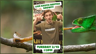 Live Reptile Show - Showcasing Exotic Animals & Supplies