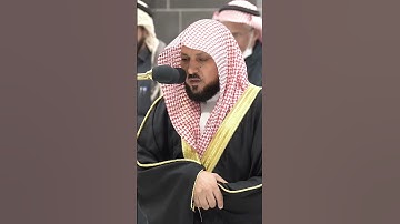 ماتيسر من سورة هود تلاوة لفضيلة الشيخ ماهر المعيقلي من المسجد الحرم المكي Maher Almaikulai#قرآن