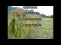 寒暖計 渡哲也 Cover 健