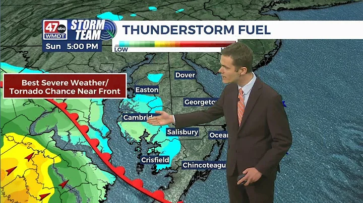 Scattered showers and storms Sunday, dry Monday - Overnight Forecast (06/08/25)