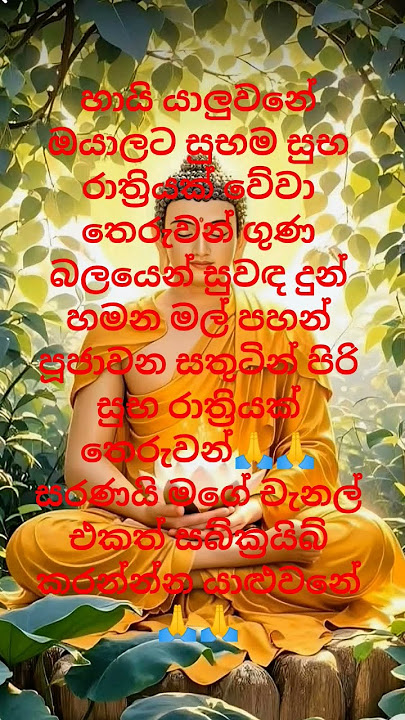 හායි යාලුවනේ ඔයාලට සුභම සුභ රාත්‍රියක් වේවා මගේ චැනල් එකත් සබ්ක්‍රයිබ් කරන්නකෝ #duet 🙏🙏