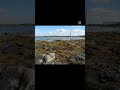 Newlands Beach, Anglesey, Part Five.