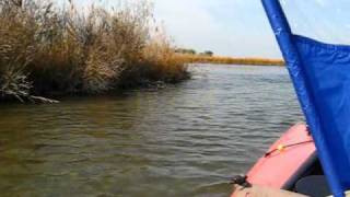 Pine Tree To Tingles Inside Route