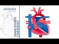 Approach to Heart Failure in the Adult with CHD (Laith Alshawabkeh, MD) October 10, 2019