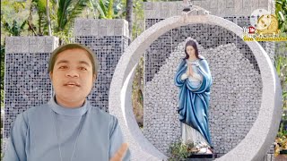 Tuesday, June 2, 2026. Today's Catholic Reflections and Prayers. Morning and Evening Prayers with...