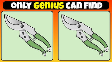Only Genius Can Find!👀💥| Find 3 Differences