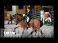 Schleich Barn Tour 2018 ~ Silver Star Stables ~