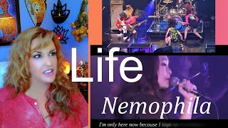 First Reaction ~ Nemophila ~ Life