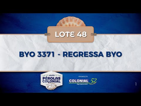 LOTE 48 BYO 3371