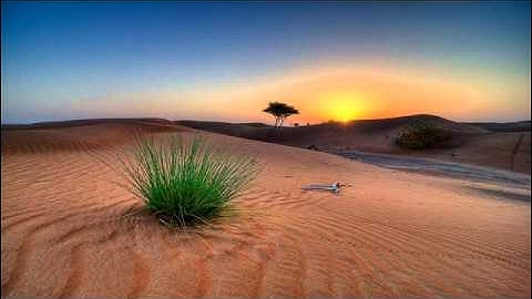 تلاوة خاشعة للشيخ الياس بخش