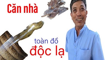 Bất ngờ khi vào nhà ông chủ có bộ rễ cây trả 3 tỷ không bán II ĐỘC LẠ BÌNH DƯƠNG