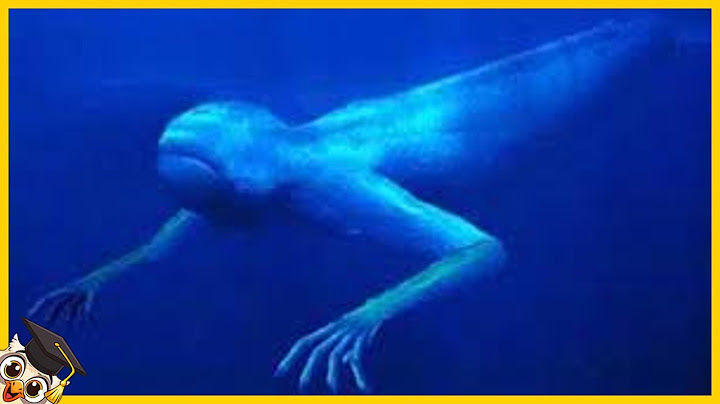 10 Mystérieux Monstres sous marins
