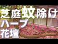 虫の来ない芝生の庭を作りたい！