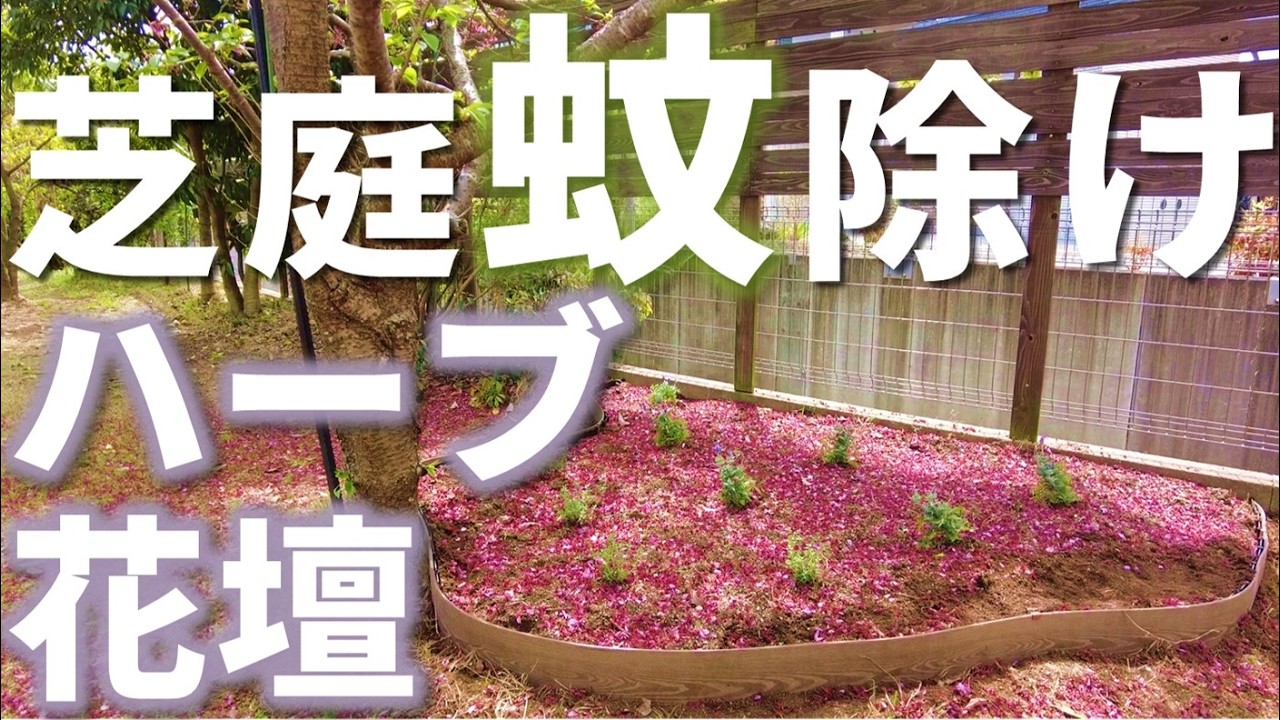 虫の来ない芝生の庭を作りたい！