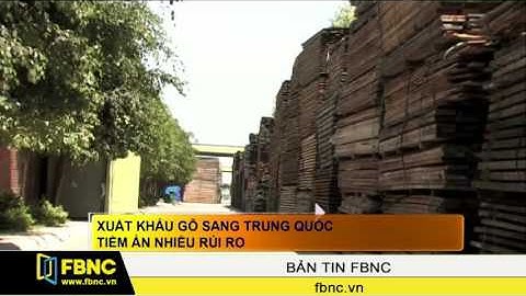 FBNC - Xuất khẩu gỗ sang Trung Quốc tiềm ẩn nhiều rủi ro