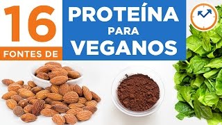 16 FONTES DE PROTEÍNA PARA VEGANOS E VEGETARIANOS (16 alimentos para quem não come carne)