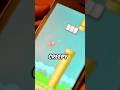 After reaching 999 points in Flappy Bird why does 