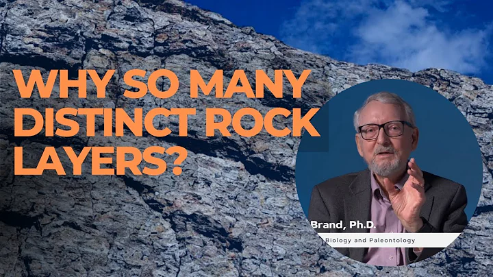 Why Does Bioturbation Animal Burrows Raise Difficult Problems? Uncovering the Reasons