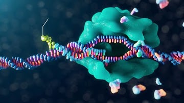 Simplifying IVT, Elevating Results | TriLink BioTechnologies