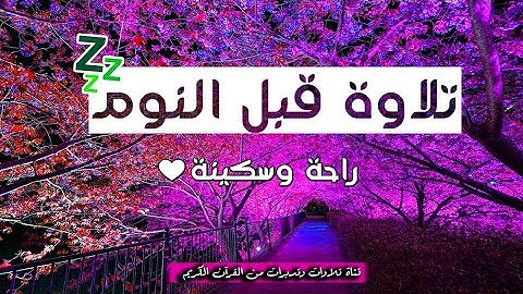 يارب العالمين 😌 دعاء نا لك براحة النفس وزوال الهموم قرآن كريم للمساعدة على نوم عميق