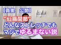 【真実 公開】”仙腸関節”どんなストレッチでもマジでゆるまない説 新潟 梨本整体院