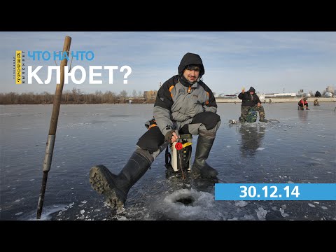 что на что клюет 2015 что на что клюет 2015