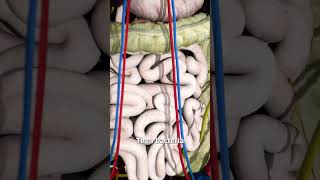 What Happens After You Die