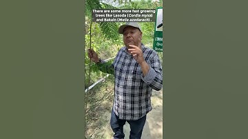 The fastest growing trees to plant.