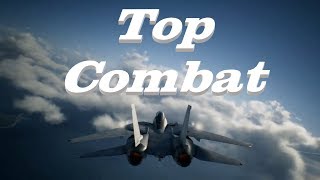 Ace Combat 7 Danger Zone