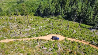 Cedar Tree #13 Jeep Bade Of Honor - Tillamook, OR - 7/7/24