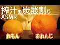 [ASMR]レモンオレンジスカッシュの音/Sound of lemon orange squash