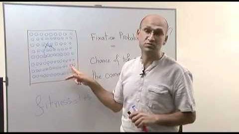 The fixation probability of a beneficial mutation in a geographically structured population